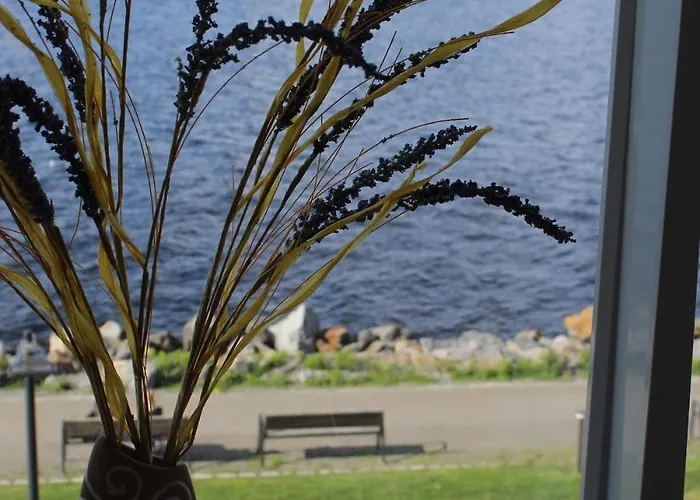 Ranta-tampellan Helmi 公寓 坦佩雷